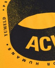 N335—ACID-PVE-Yellow-02